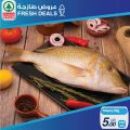 SPAR Qatar Offers  2020