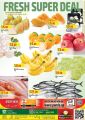 Panda Hypermarket Qatar Offers  2020