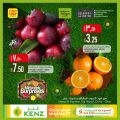 KENZ Mini Mart Qatar offers 2022