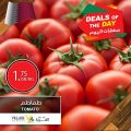 Village Markits Qatar offers 2021