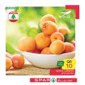 عروض سبار قطر 2020
