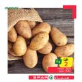 SPAR Qatar Offers  2020