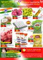 Panda Hypermarket Qatar Offers  2023