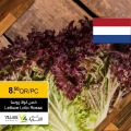 عروض اسواق القرية قطر 2020