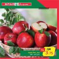 SPAR Qatar Offers  2020