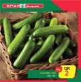 SPAR Qatar Offers  2020