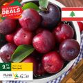 Village Markets Qatar Offers 2020