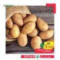 SPAR Qatar Offers  2020