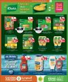 KENZ Mini Mart Qatar offers 2026