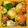عروض أسواق القرية قطر 2021