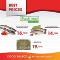 Food Palace Qatar offers 2022