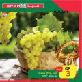 SPAR Qatar Offers  2021