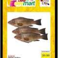 Doha DayMart Qatar offers 2021