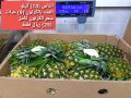عروض شركة الماهر التجارية قطر 2020