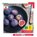 spar qatar offers 2020