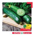 SPAR Qatar Offers  2020