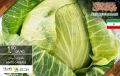 Village Markets Qatar offers 2020