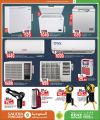 KENZ Mini Mart Qatar offers 2026