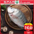 SPAR Qatar Offers  2019