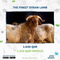 Widam Food Qatar Offers 2020