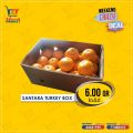 Metro market qatar offers 2020