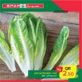 SPAR Qatar Offers  2020