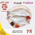 عروض أنصار جاليري قطر 2021