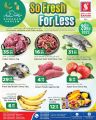 Safari Hypermarket Qatar Offers 2023