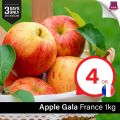 Family Food Centre Qatar Offers 2019