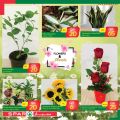 SPAR Qatar Offers  2020