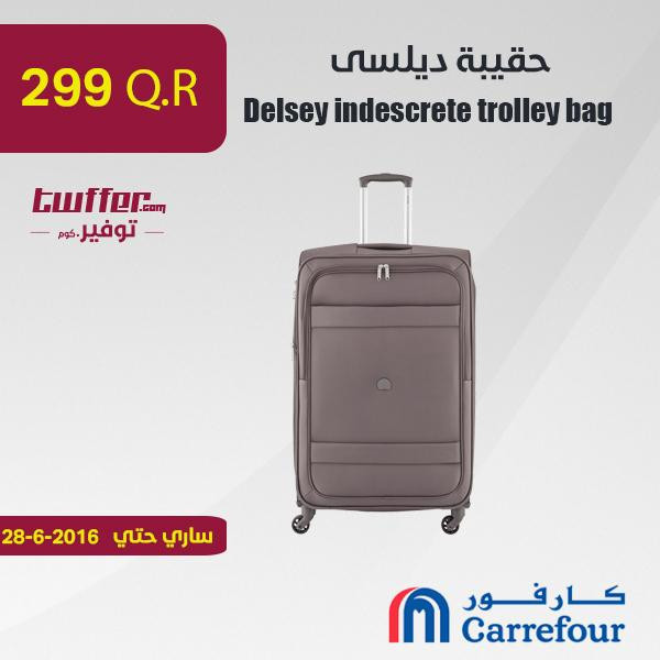 Delsey indescrete trolley bag